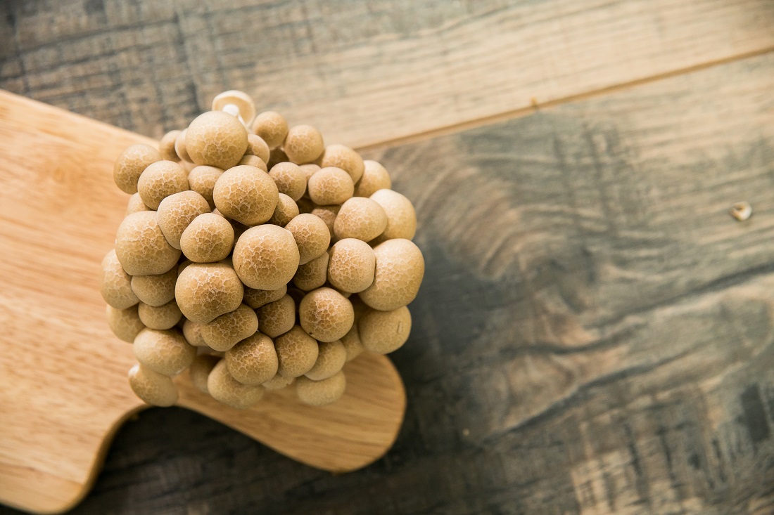 烤肉食材訂購推薦